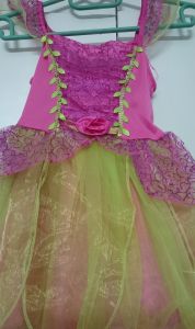 Kids Costumes to Hire - Cerise & lime fairy dress